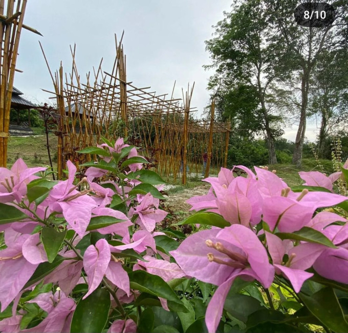 Foto Wisata Tapian Halaman Kampung-12